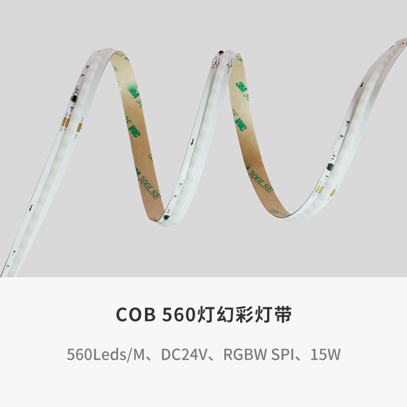 C56024RGBW-10ADG